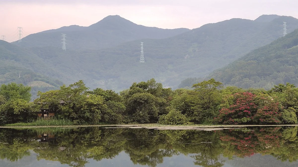 %EC%9C%84%EC%96%91%EC%A7%80_%EB%B0%B0%EB%A1%B1%EB%82%98%EB%AC%B4.jpg?type=w1200