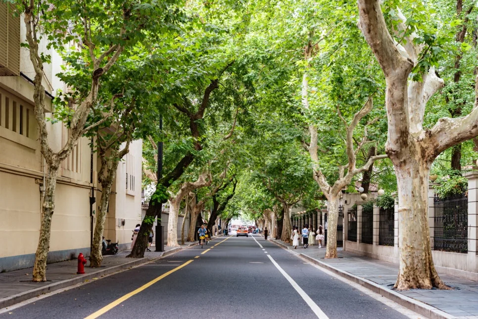 %EC%83%81%ED%95%98%EC%9D%B4-02-%EC%9A%B0%EC%BA%89%EB%A3%A8.jpg?type=w966