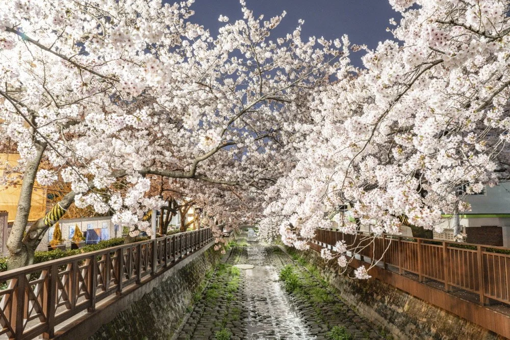 %EC%97%AC%EC%A2%8C%EC%B2%9C_%2820%29.jpg?type=w1200