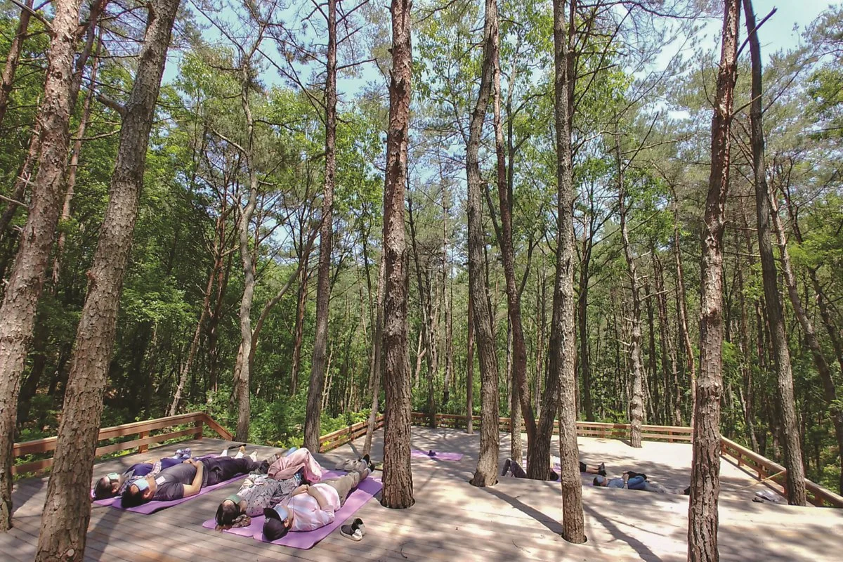 2-1_%EB%B6%80%EC%82%B0_%EC%B9%98%EC%9C%A0%EC%9D%98_%EC%88%B2.jpg?type=w1200