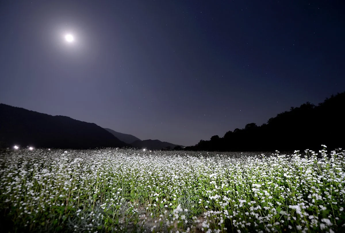 KakaoTalk_20230907_160431353_04.jpg?type=w1200