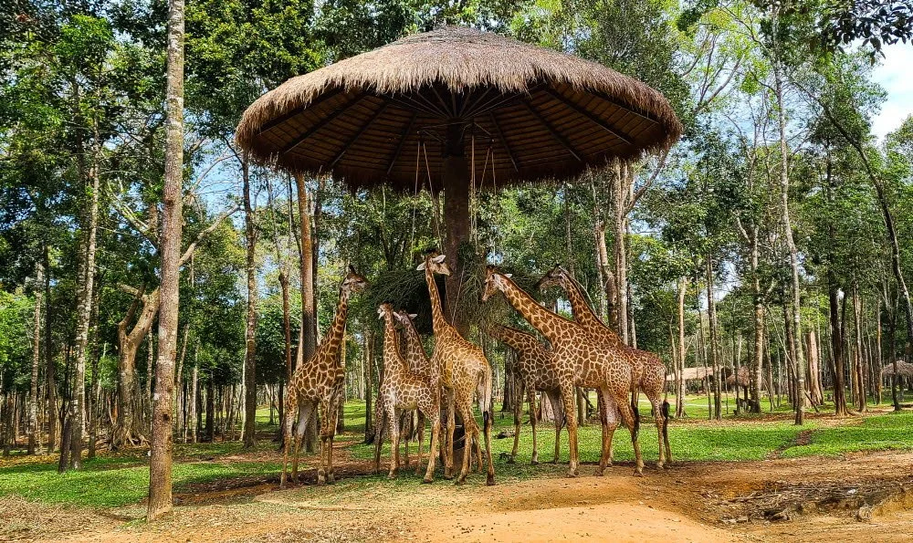 %EB%B9%88%ED%8E%84%EC%82%AC%ED%8C%8C%EB%A6%AC2.jpg?type=w1200