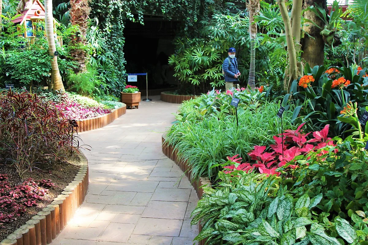 04%EB%B6%80%EC%B2%9C%EC%8B%9D%EB%AC%BC%EC%9B%90_%281%29.JPG?type=w1200