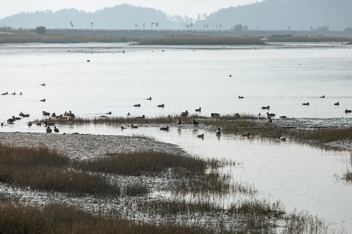 IMG_7293.jpg?type=w1200