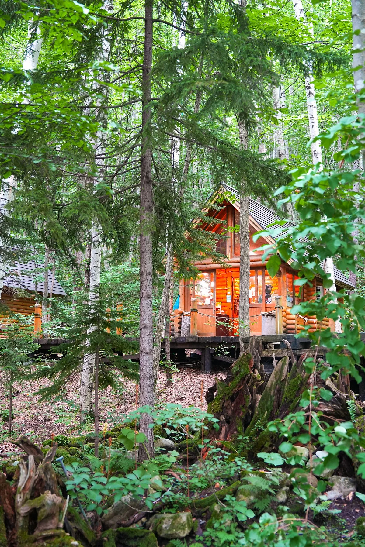 %EB%8B%9D%EA%B5%AC%EB%A5%B4%ED%85%8C%EB%9D%BC%EC%8A%A4_%283%29-5p_%EC%A0%84%EB%A9%B4_-_%EC%B6%94%EC%B2%9C.jpg?type=w1200