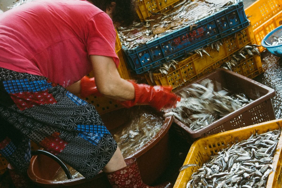 %EA%B0%95%EC%A7%84-11.jpg?type=w1200