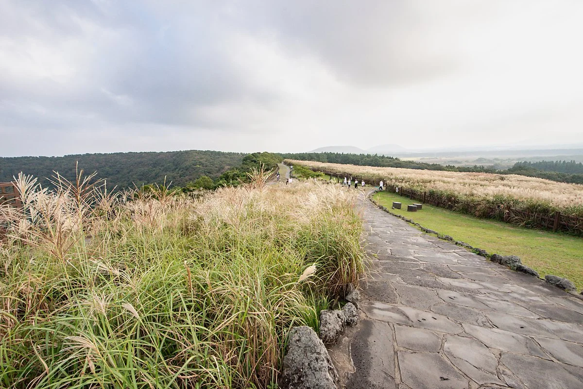 %EC%82%B0%EA%B5%BC%EB%B6%80%EB%A6%AC_%EC%82%B0%EC%B1%85%EB%A1%9C_%286%29.jpg?type=w1200