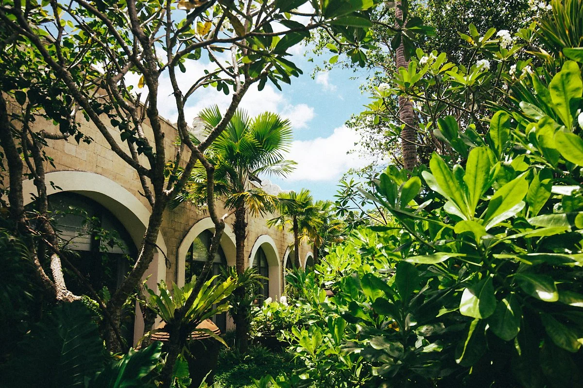 %EC%A3%BC%EB%A9%94%EC%9D%B4%EB%9D%BC_%EB%B0%9C%EB%A6%AC_-3387.jpg?type=w1200