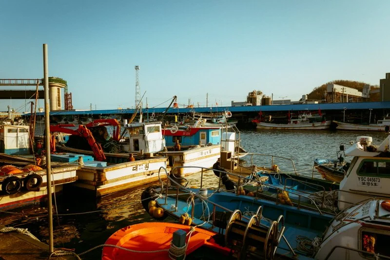 %EC%82%BC%EC%B2%99%ED%95%AD_%282%29.jpg?type=w1200&type=w1200