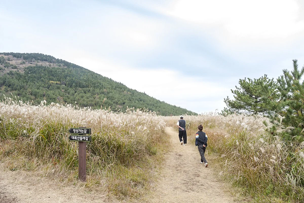 %ED%81%B0%EC%82%AC%EC%8A%B4%EC%9D%B4%EC%98%A4%EB%A6%84_%282%29.jpg?type=w1200