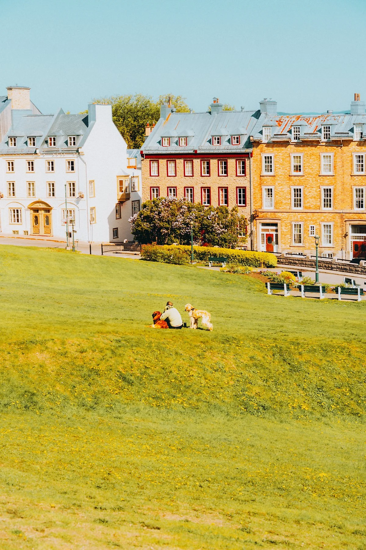 %EC%83%A4%ED%86%A0_%ED%94%84%EB%A1%B1%ED%8A%B8%EB%82%99_%ED%98%B8%ED%85%94_%281%29.jpg?type=w1200