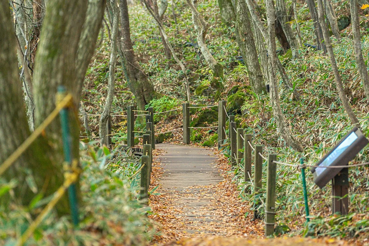 %ED%95%9C%EB%9D%BC%EC%82%B0_%EA%B4%80%EC%9D%8C%EC%82%AC%EC%BD%94%EC%8A%A4_%EC%9E%85%EA%B5%AC_00002.jpg?type=w1200