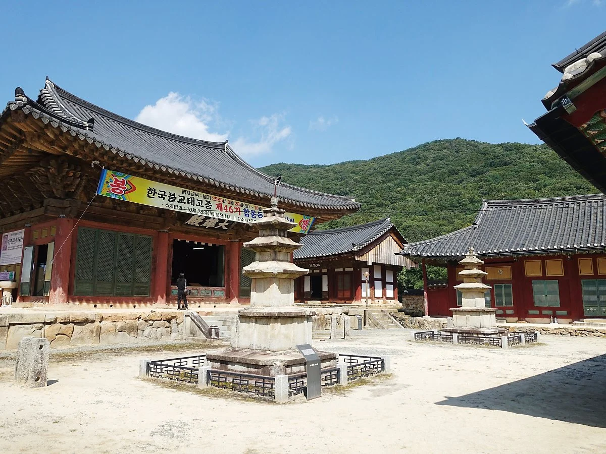 %EC%84%A0%EC%95%94%EC%82%AC_202110_%EA%B9%80%EC%84%A0%EC%A3%BC_%2849%29.JPG?type=w1200