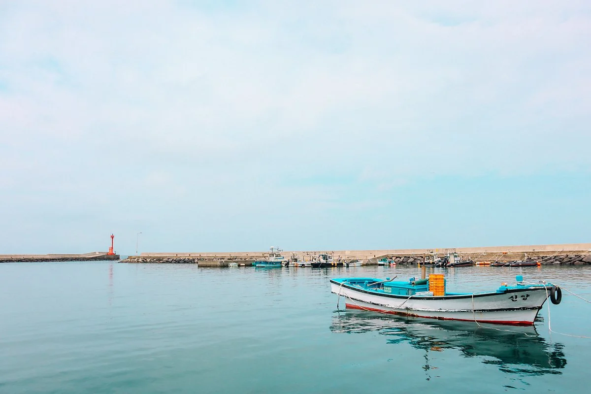 d_%EC%8B%A0%EC%B4%8C_%EB%AF%B8%EB%A1%9C%EB%A7%88%EC%9D%84_3.JPG?type=w1200