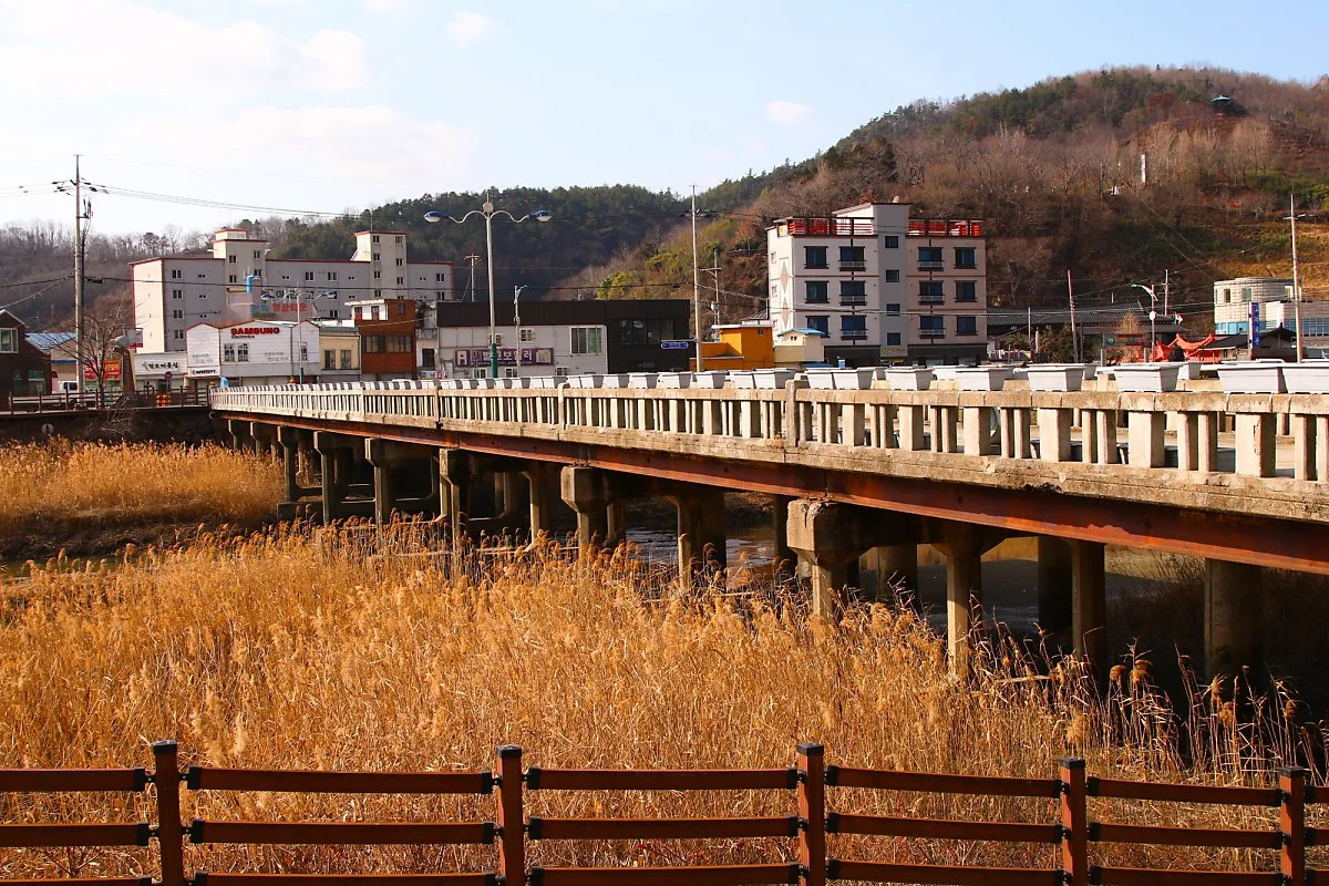 %EC%86%8C%ED%99%94%EB%8B%A4%EB%A6%AC_%282%29.jpg?type=w1200