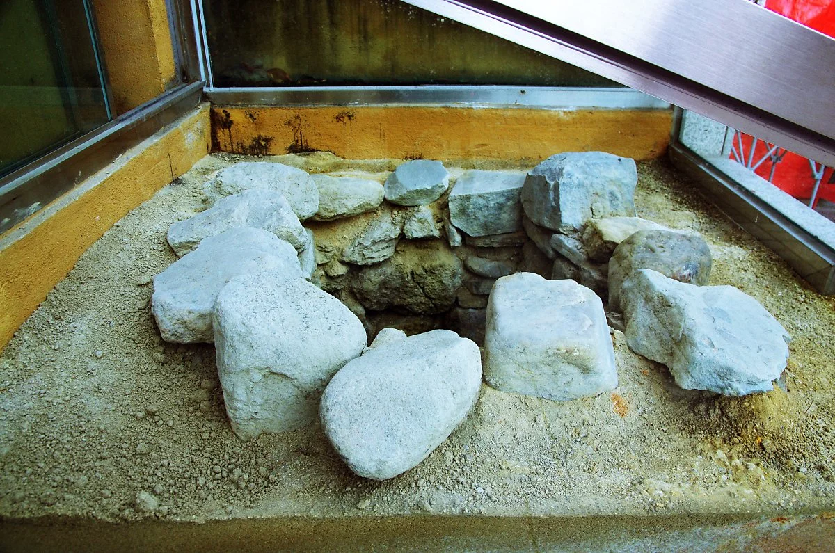 %EC%B2%AD%EC%A3%BC%EC%9D%8D%EC%84%B1_%EC%9A%B0%EB%AC%BC%ED%84%B0.JPG?type=w1200