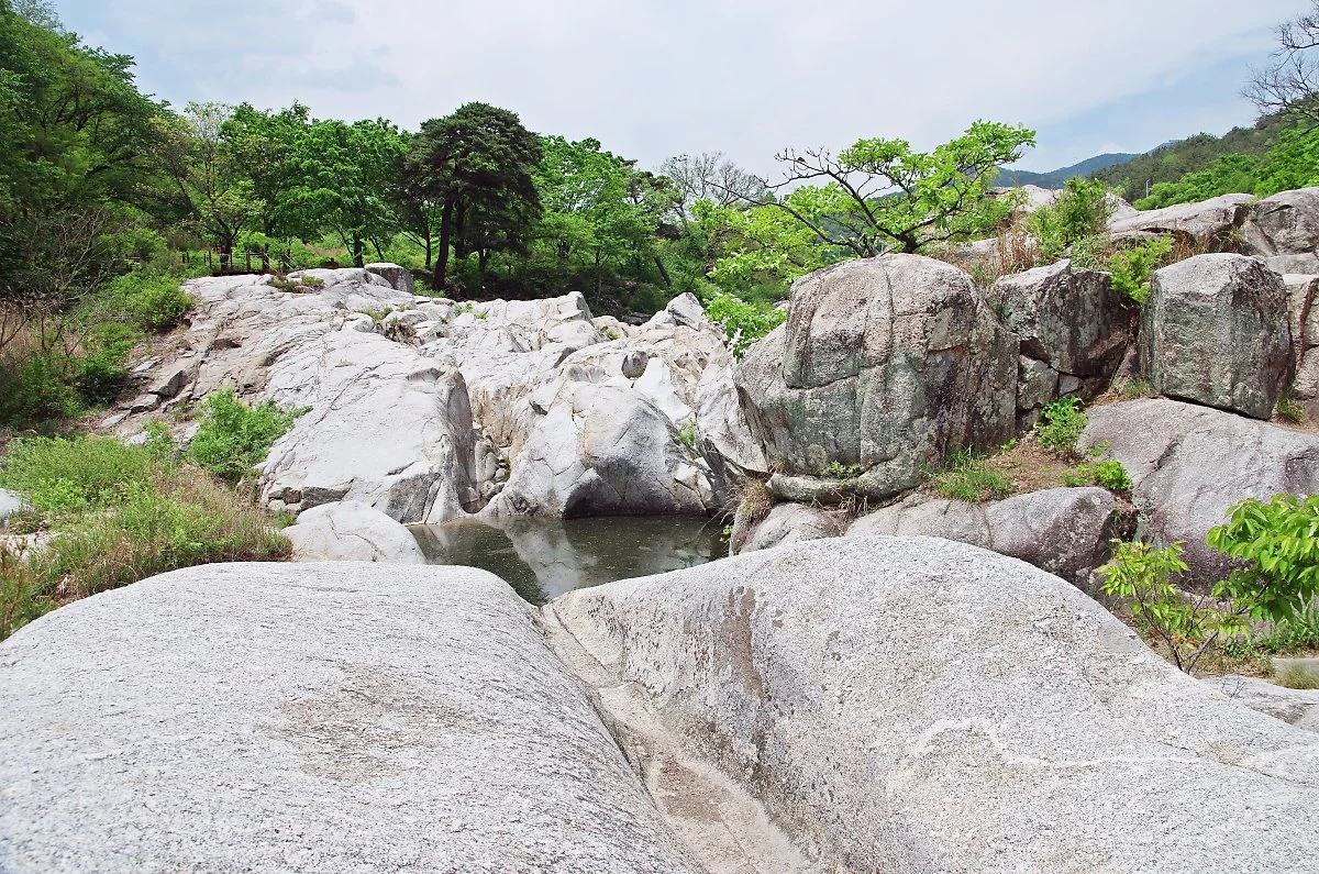 %EA%B1%B0%EC%97%B0%EC%A0%95_%EC%A3%BC%EB%B3%80_%ED%92%8D%EA%B2%BD.JPG?type=w1200