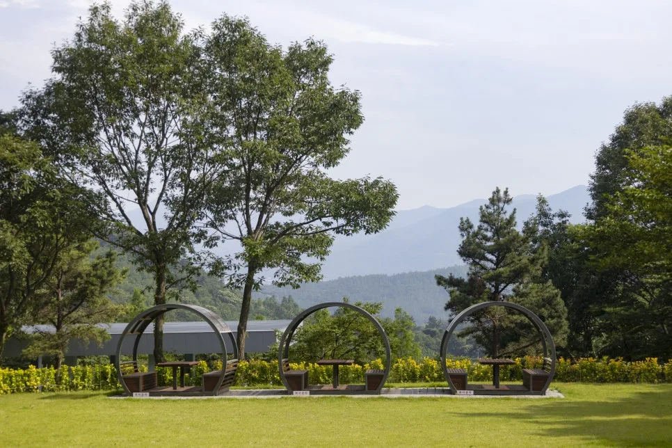 IMG_7026.jpg?type=w966