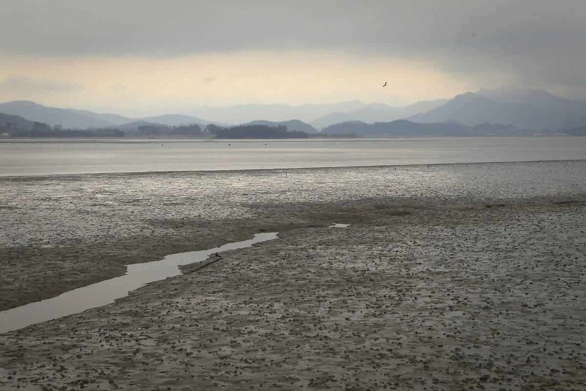 %EA%B0%95%EC%A7%84_%EC%9D%B4%EB%AF%B8%EC%A7%80_5.jpg?type=w1200