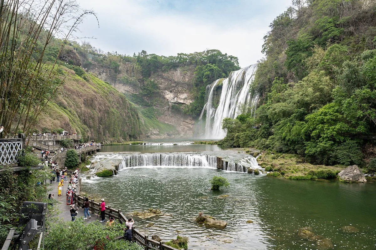 %ED%99%A9%EA%B3%BC%EC%88%98%ED%8F%AD%ED%8F%AC_%288%29.jpg?type=w1200