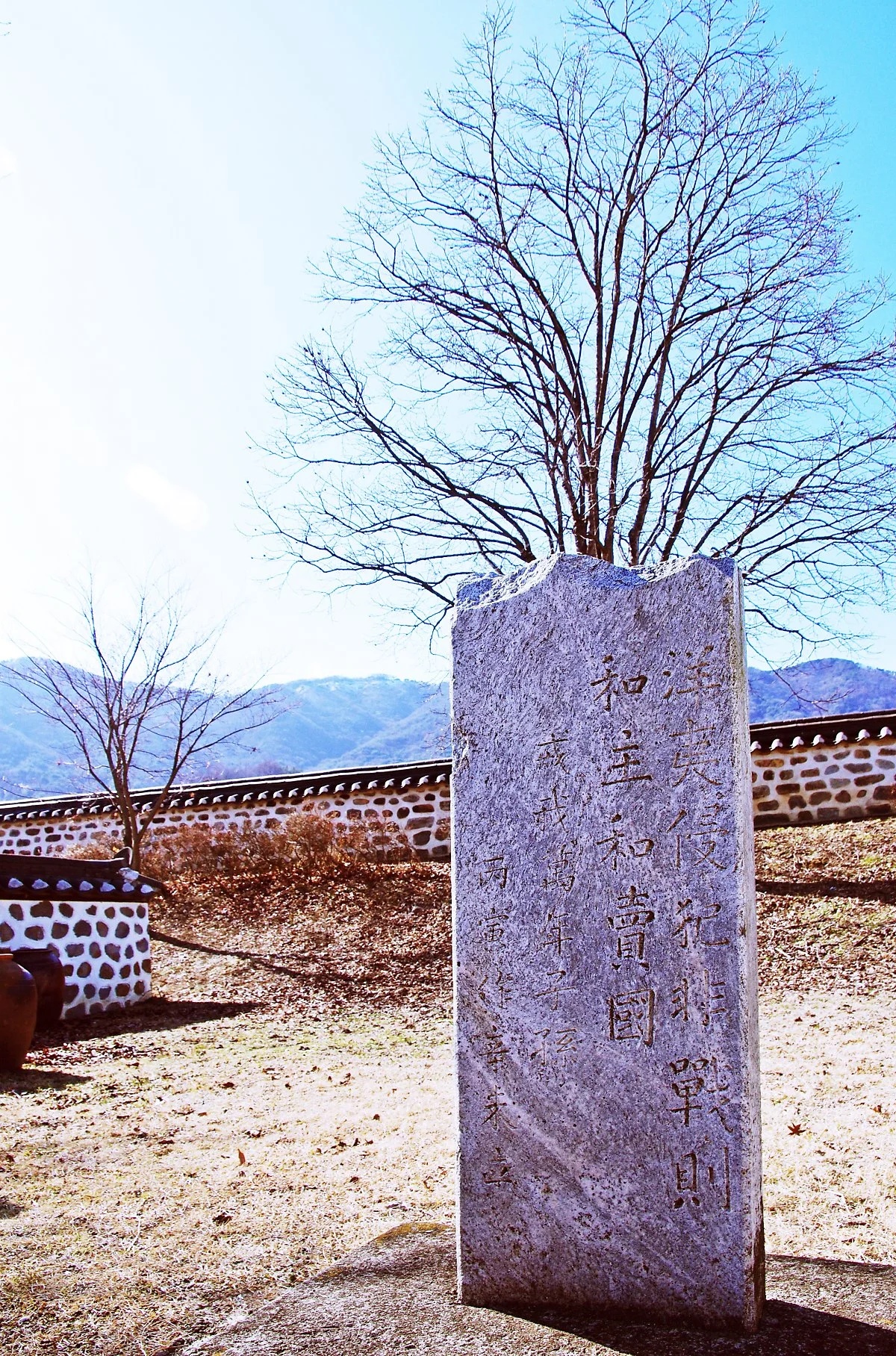 %ED%9D%A5%EC%84%A0%EB%8C%80%EC%9B%90%EA%B5%B0_%EC%B2%99%ED%99%94%EB%B9%84.JPG?type=w1200