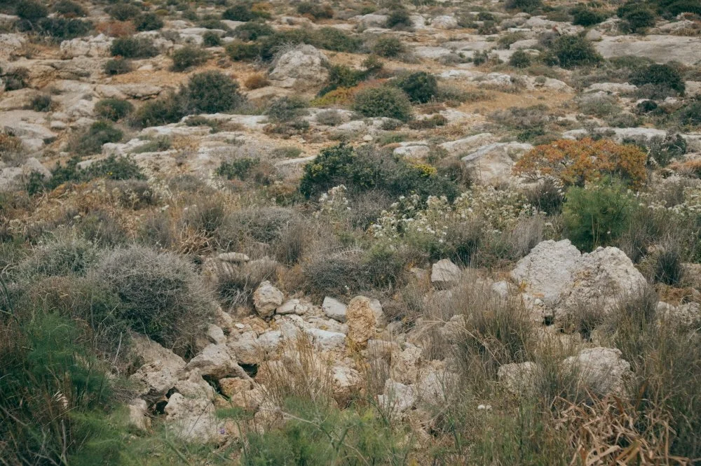 %EB%AA%B0%ED%83%80-17.JPG?type=w1200