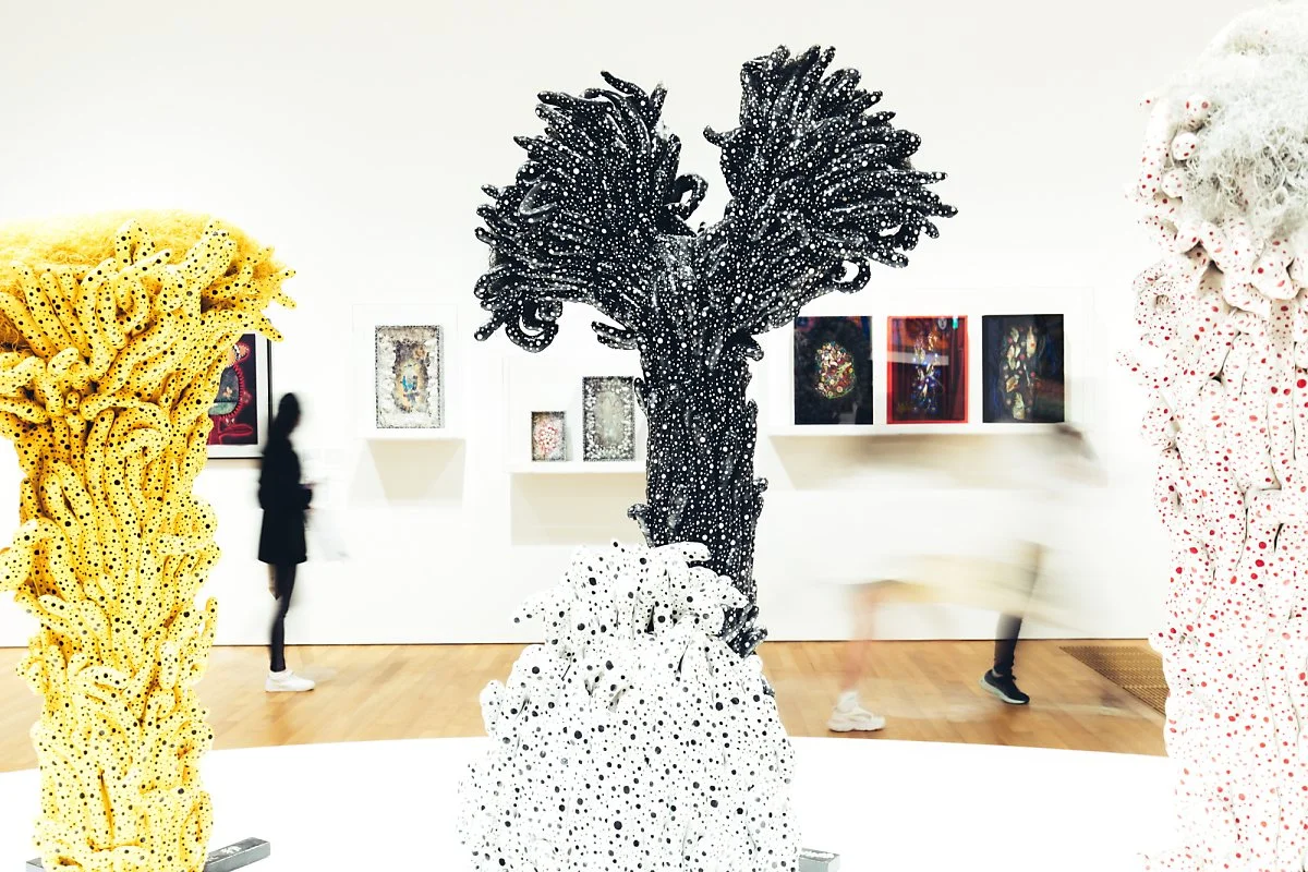 M%2B_%284_-_17%29.jpg?type=w1200