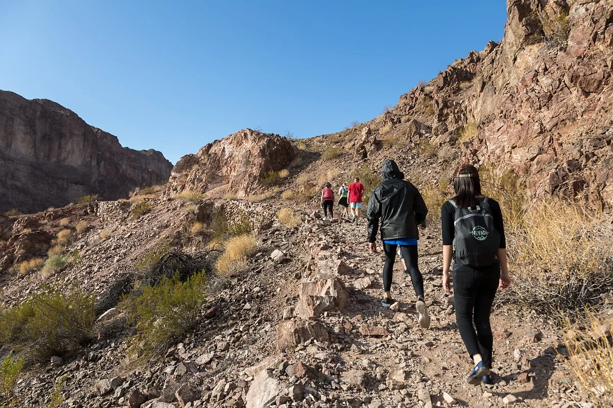 F96A2654.jpg?type=w1200