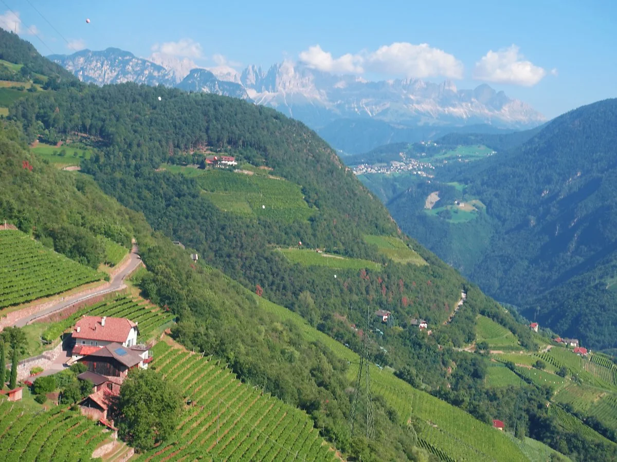 DSC09079-2.jpg?type=w1200