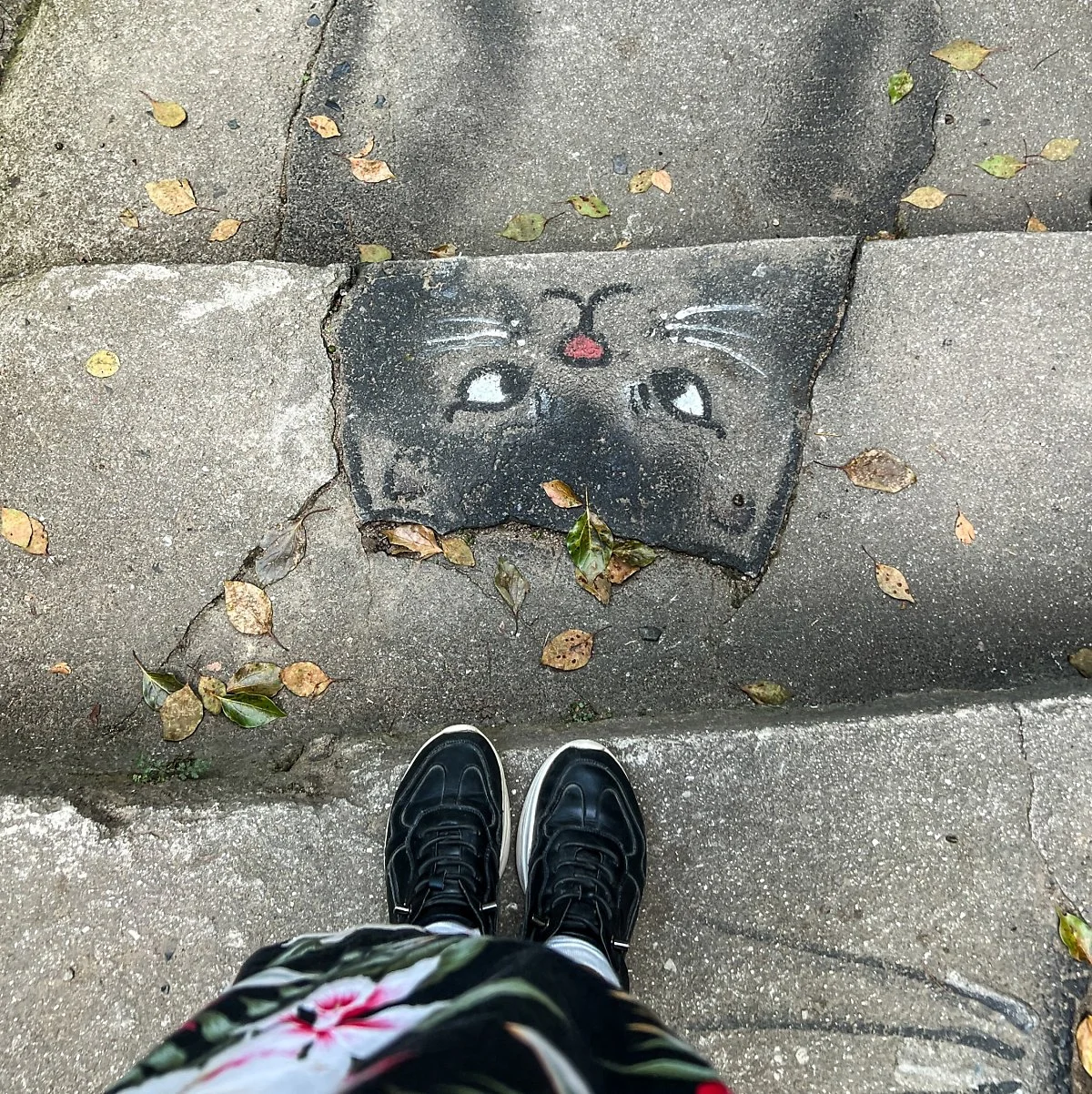 image_1399006181700704222746.jpg?type=w1200