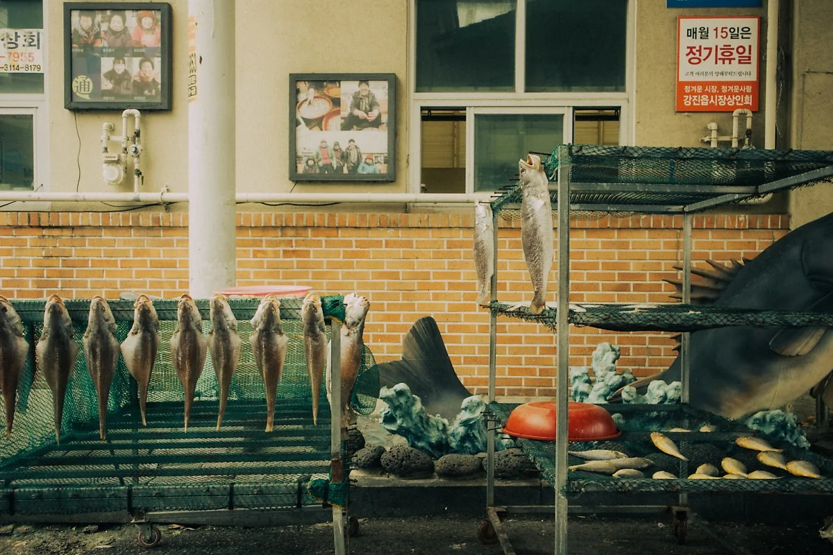 %EA%B0%95%EC%A7%84-10.jpg?type=w1200