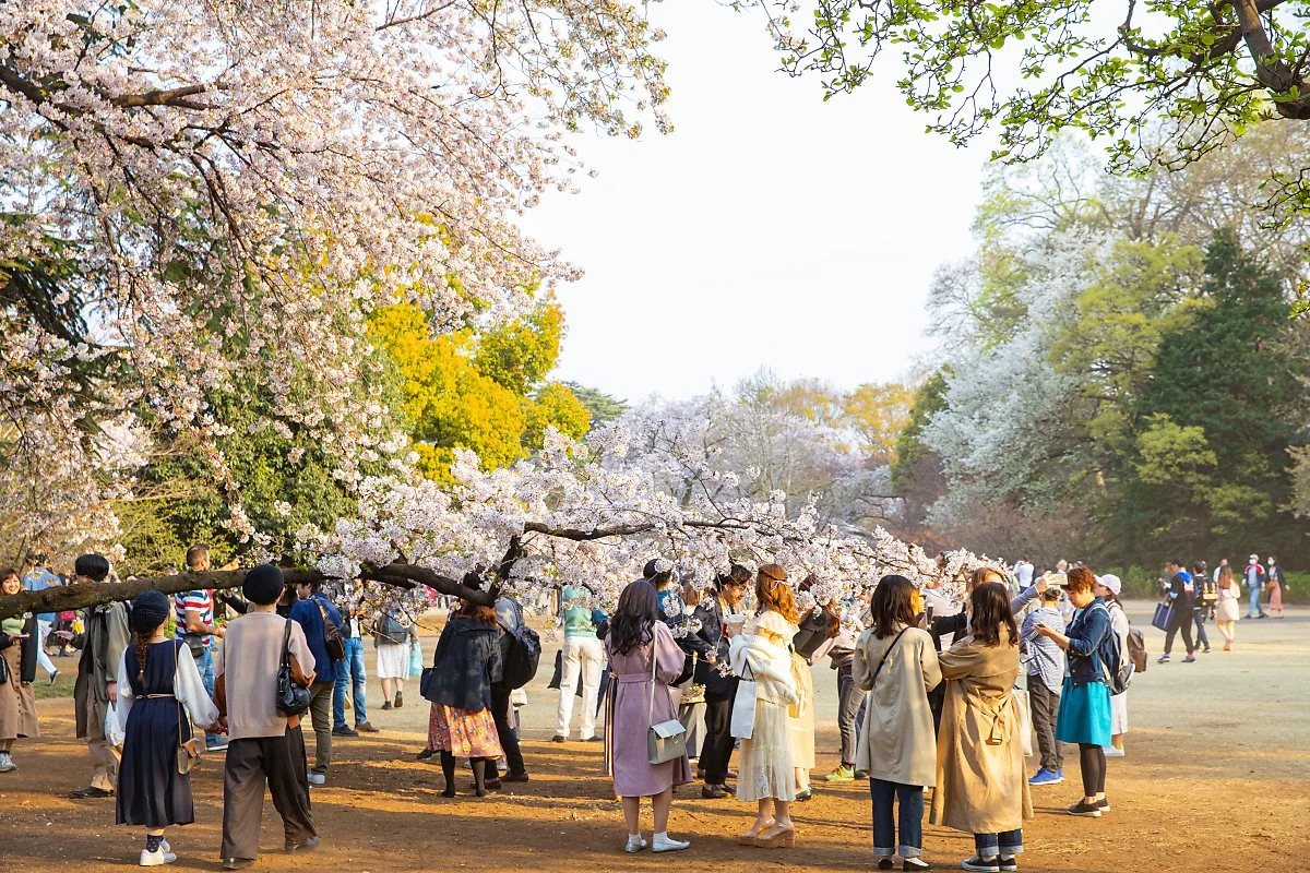 %EB%8F%84%EC%BF%84_%EC%8B%A0%EC%A3%BC%EC%BF%A0_%EA%B5%90_%EC%97%94_1.jpg?type=w1200