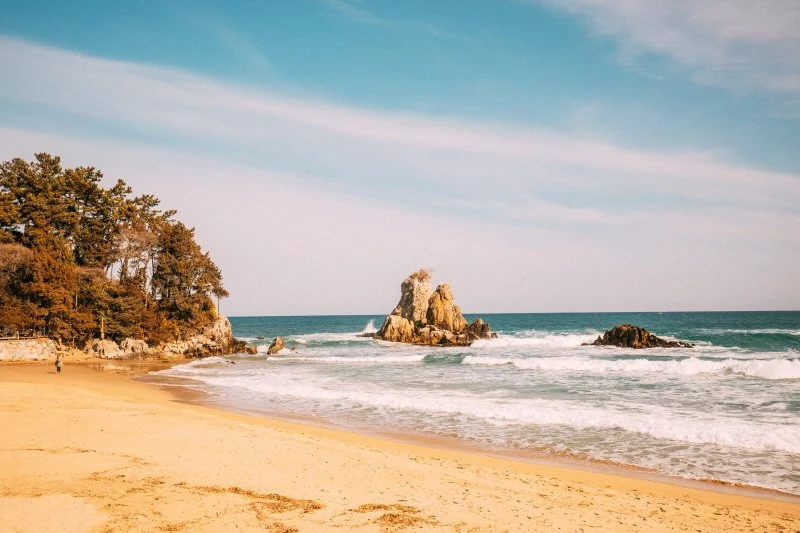 %ED%81%AC%EA%B8%B0%EB%B3%80%ED%99%98%EC%B6%94%EC%95%94_%ED%95%B4%EC%88%98%EC%9A%95%EC%9E%A5_%282%29.jpg?type=w1200&type=w1200