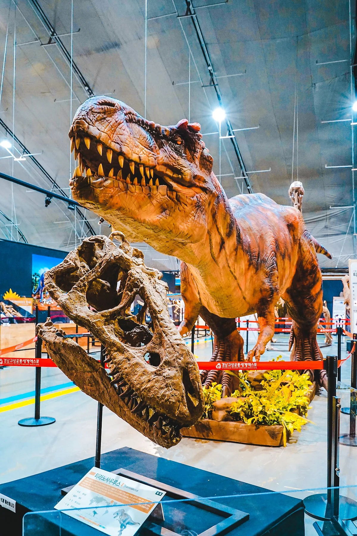 6p_3%EB%B2%88.jpg?type=w1200