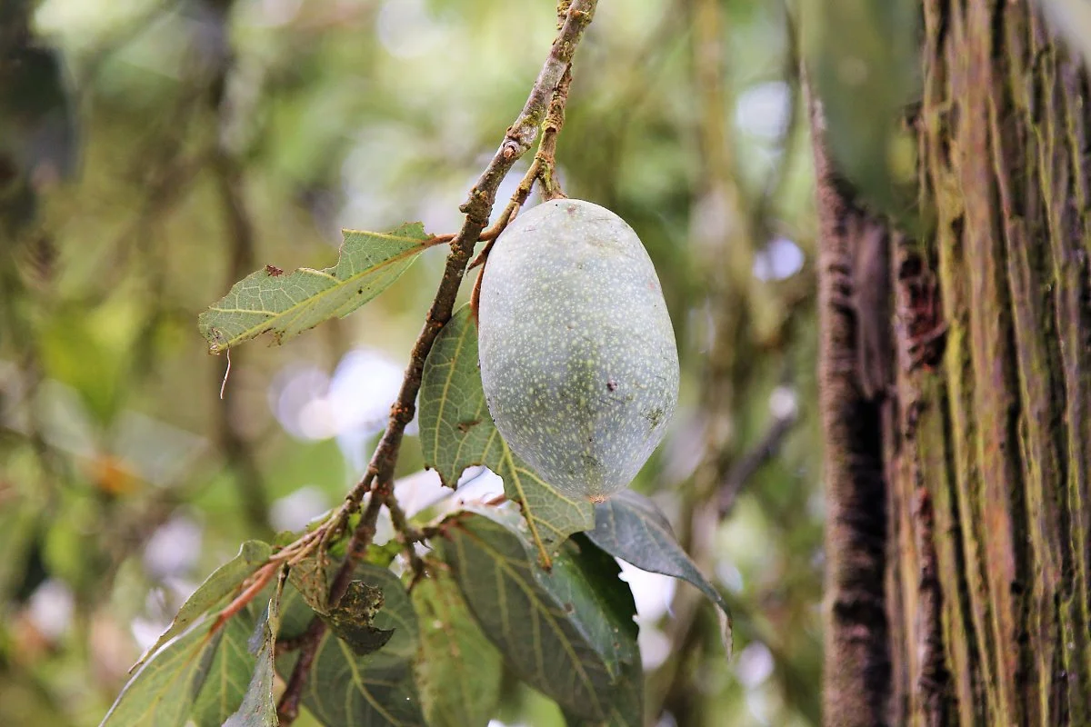 04%EC%95%84%EC%9D%B4%EC%9C%84_%282%29.JPG?type=w1200