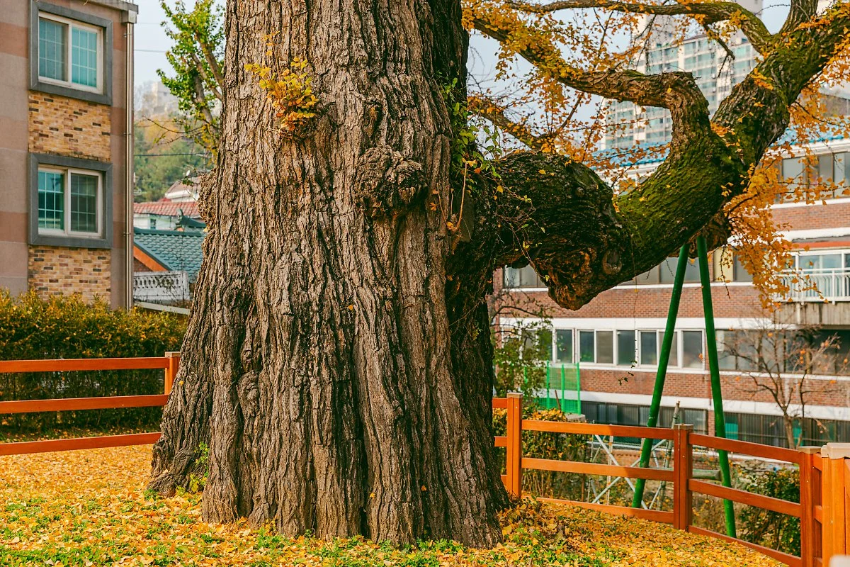 %EF%80%88d_%EB%B2%BD%EC%A0%9C%EA%B4%80%EC%A7%80_4.jpg?type=w1200