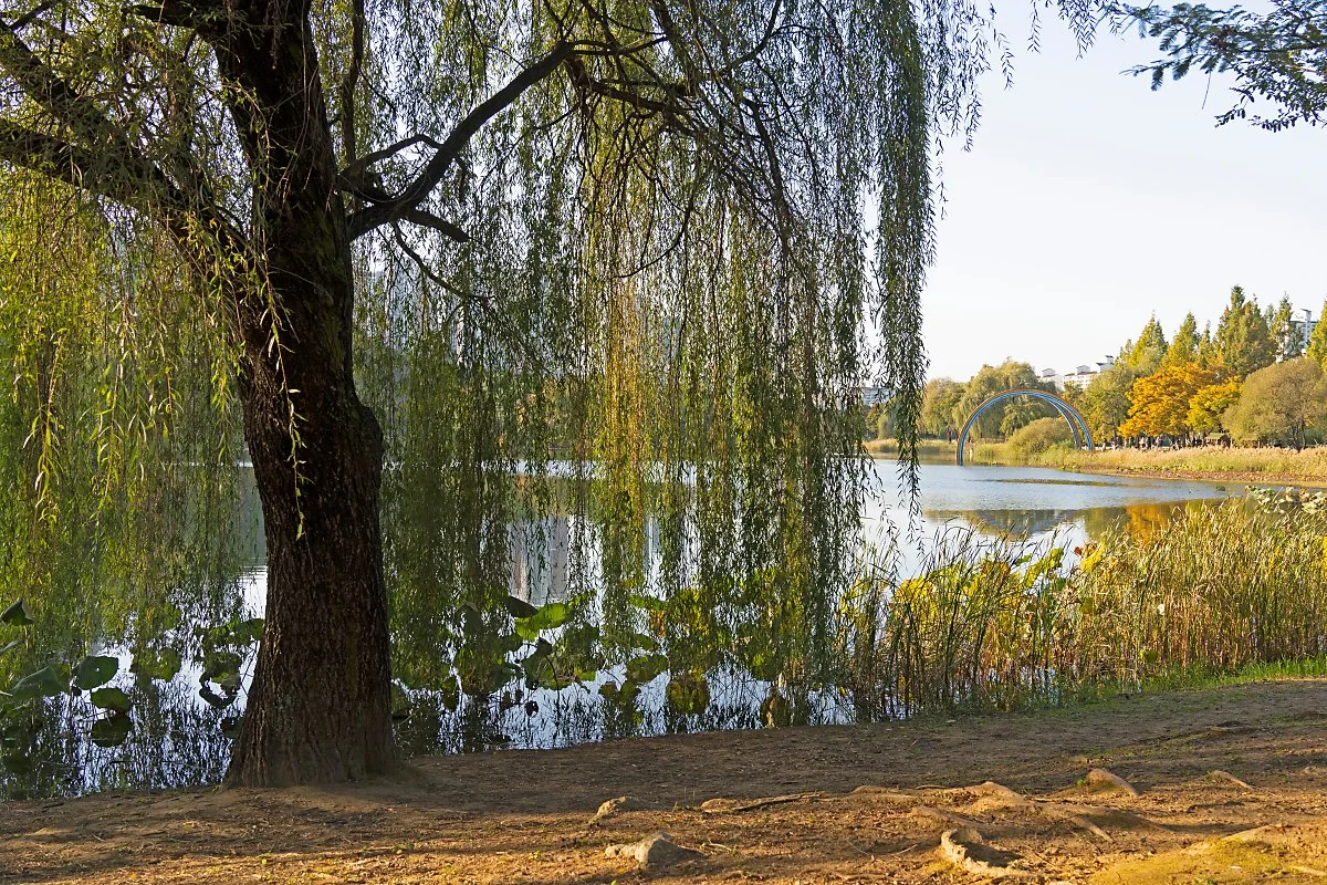 %EC%82%AC%EC%A7%8411_%EA%B0%80%EC%9D%84%EC%9D%B4_%EC%B0%BE%EC%95%84%EC%98%A8_%EC%9D%BC%EC%82%B0_%ED%98%B8%EC%88%98%EA%B3%B5%EC%9B%90.jpg?type=w1200