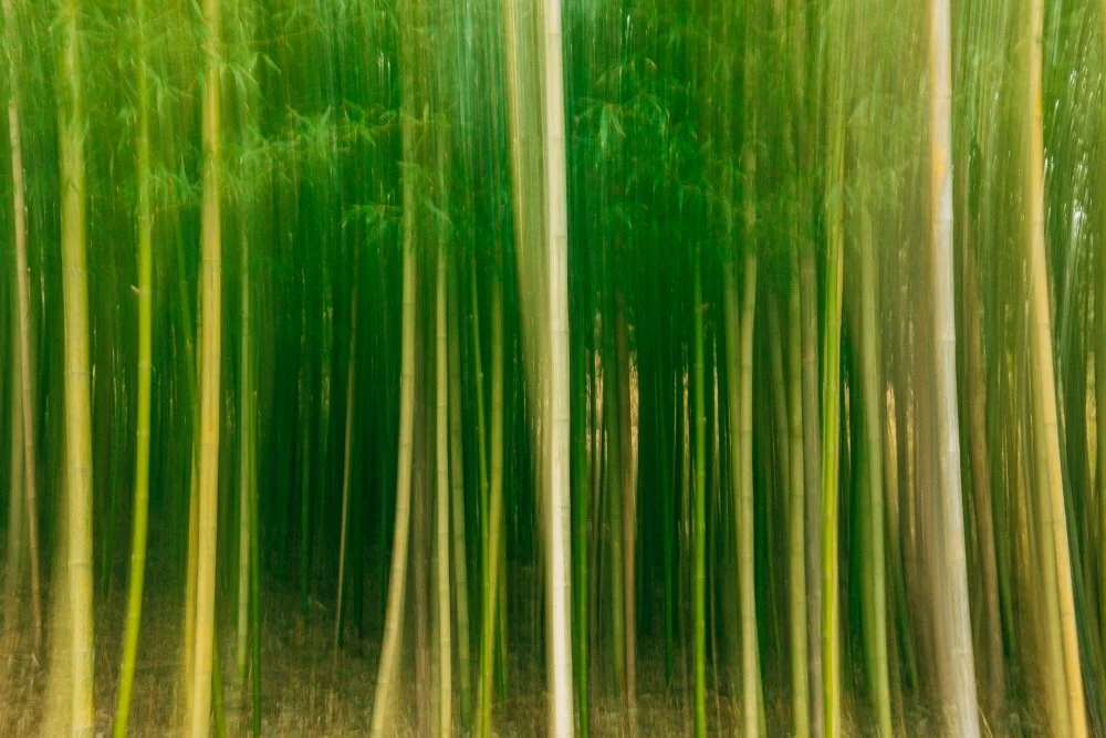 %EC%86%A1%EC%A0%95_%EA%B7%B8%EB%A6%BC%EC%B1%85_%EB%A7%88%EC%9D%84_%284%29.JPG?type=w1200