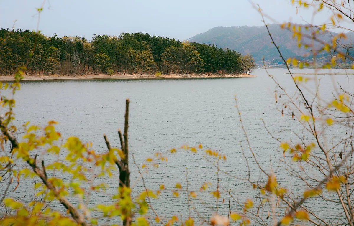 %EF%80%88d_%EB%8C%80%EC%B2%AD%ED%98%B8%EC%98%A4%EB%B0%B1%EB%A6%AC%EA%B8%B84%EA%B5%AC%EA%B0%84%28%ED%98%B8%EB%B0%98%EB%82%AD%EB%A7%8C%EA%B8%B8%29_3.jpg?type=w1200