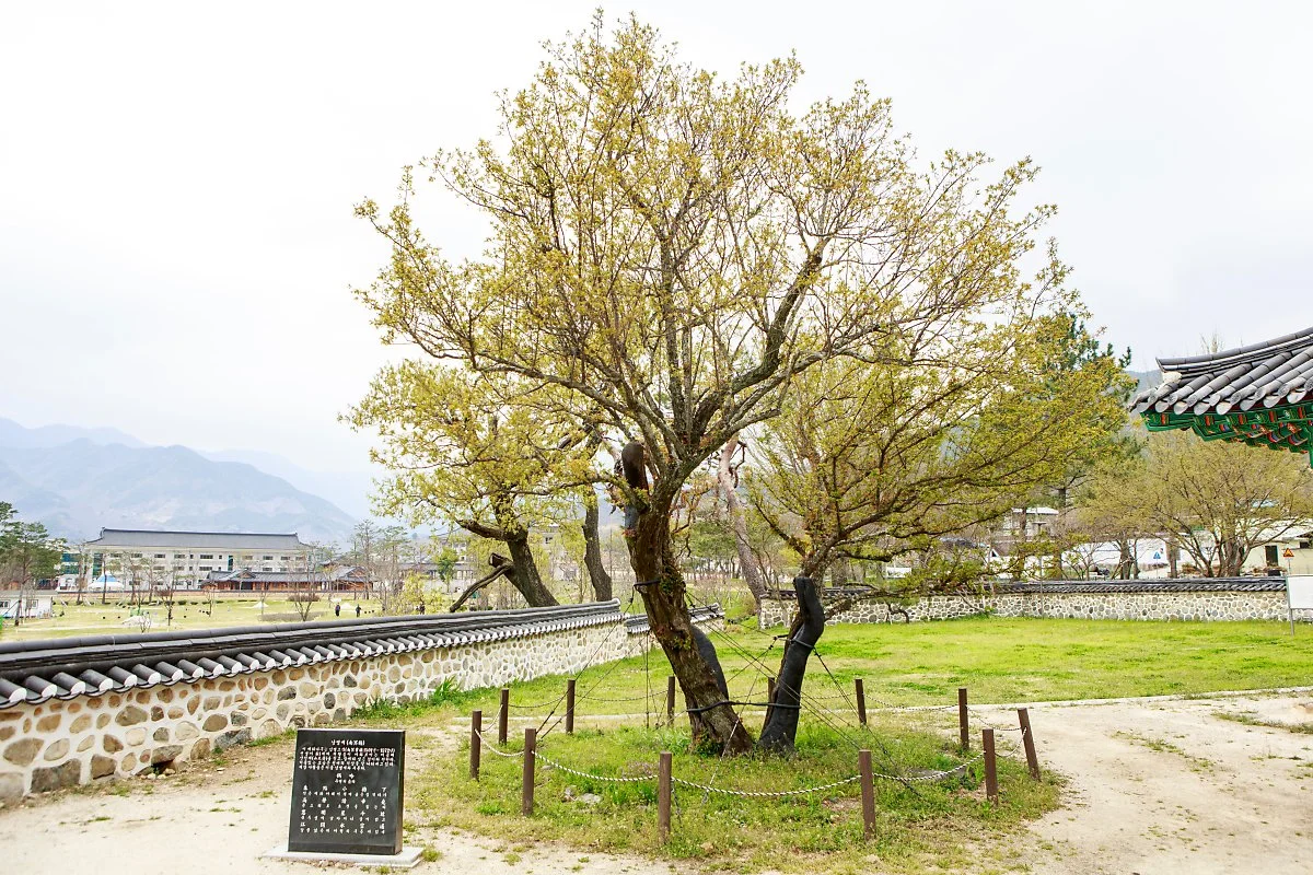 %EC%82%B0%EC%B2%9C%EC%9E%AC.JPG?type=w1200