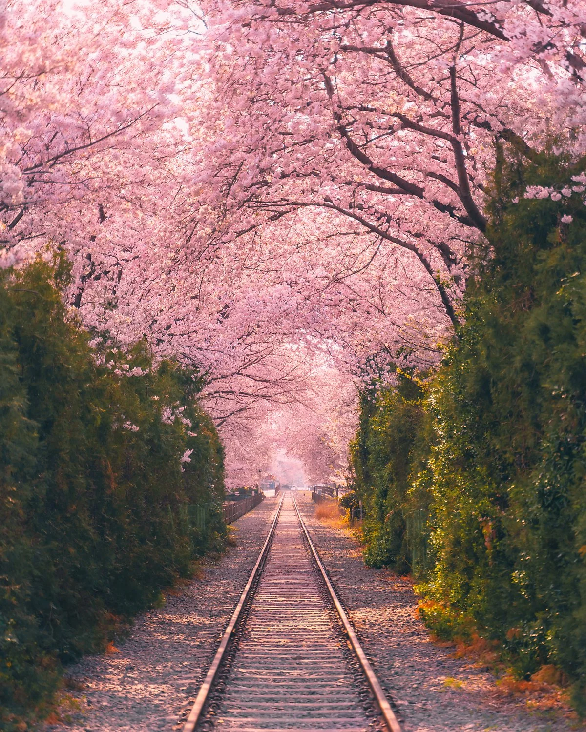 KakaoTalk_20220628_112456326_08.jpg?type=w1200