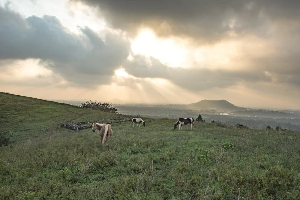 %ED%81%AC%EA%B8%B0%EB%B3%80%ED%99%98%EB%AC%B8%EB%8F%84%EC%A7%80%EC%98%A4%EB%A6%84_%281%29.jpg?type=w1200