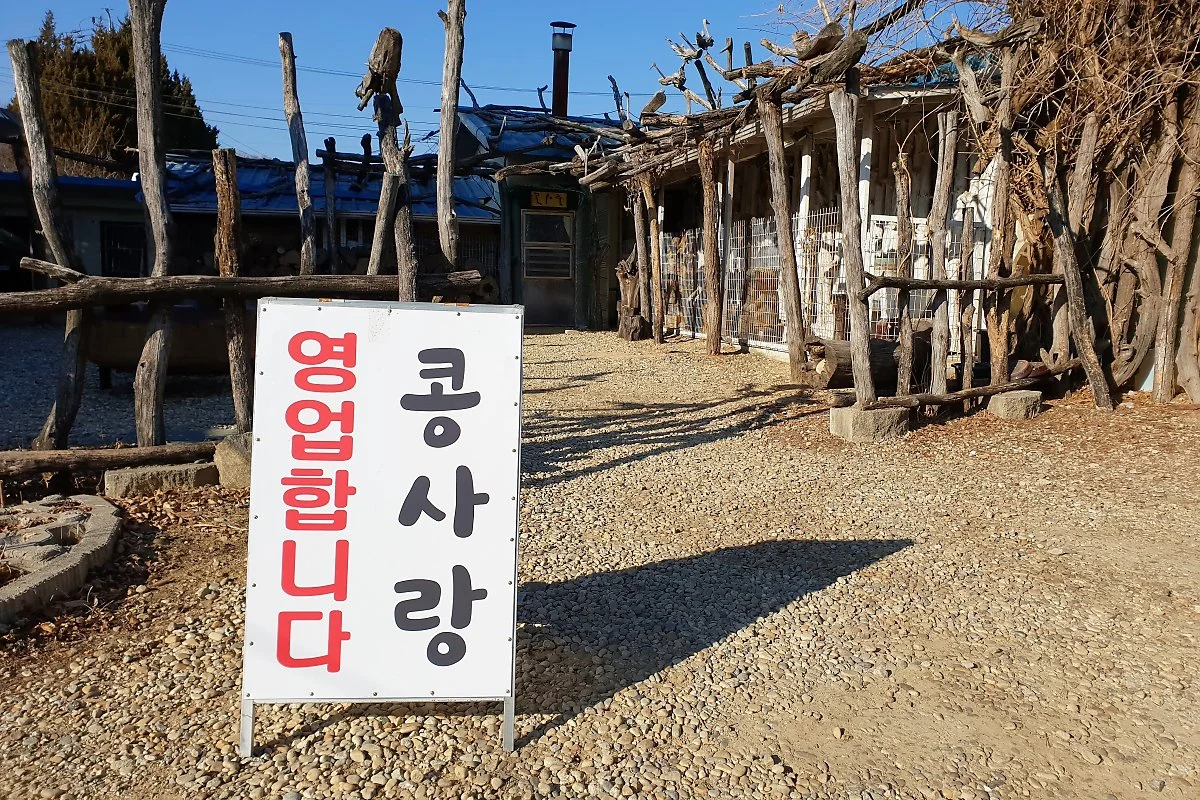 04%EC%BD%A9%EC%82%AC%EB%9E%91_%282%29.jpg?type=w1200