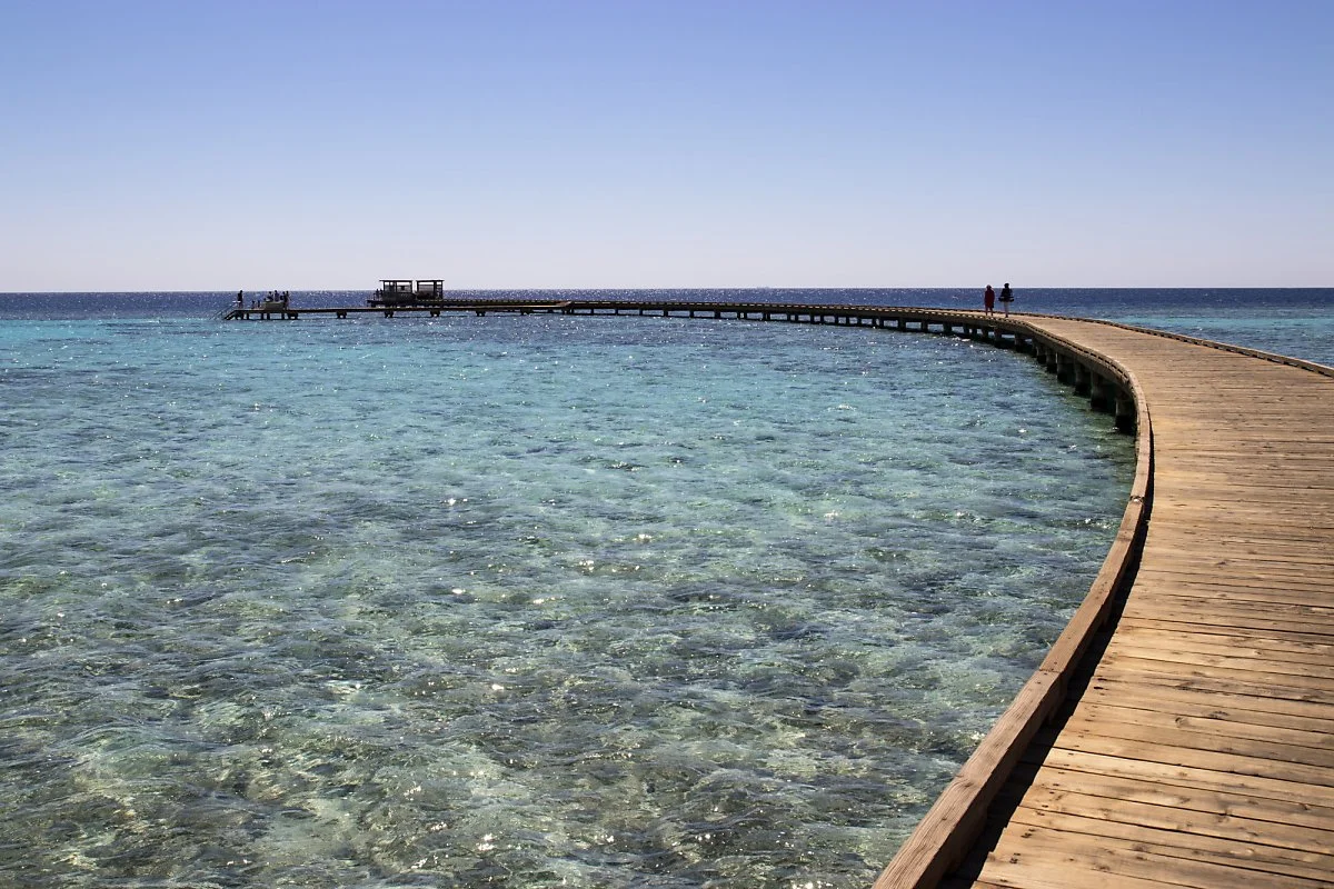 %ED%9B%84%EB%A3%A8%EA%B0%80%EB%8B%A48.jpg?type=w1200