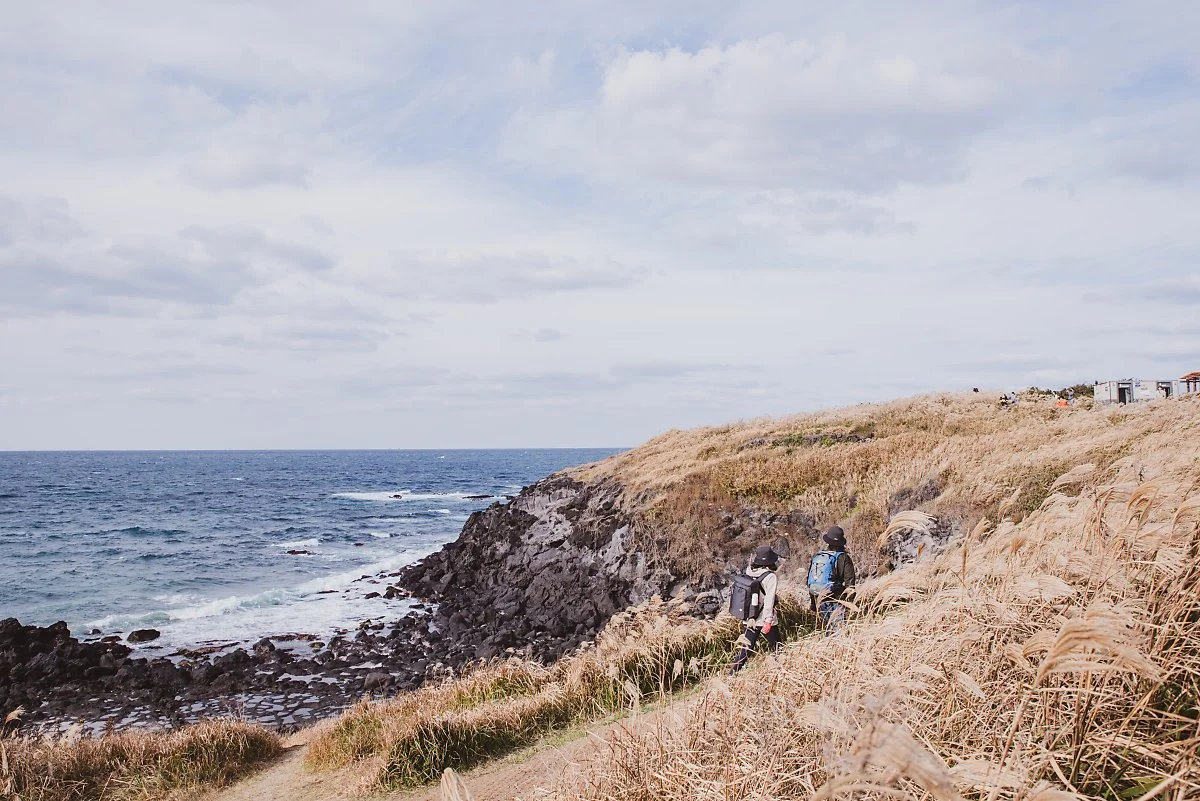 %EB%8B%AD%EB%A8%B8%EB%A5%B4_002.jpg?type=w1200