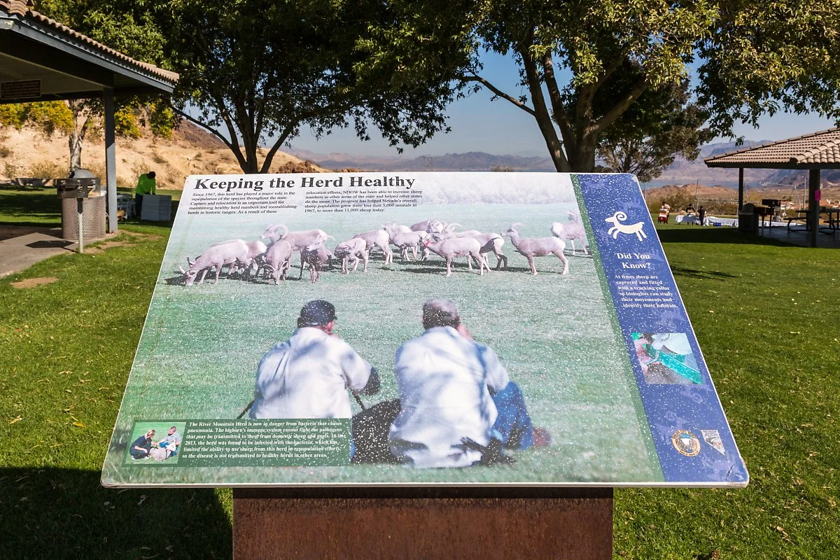 F96A2496.jpg?type=w1200