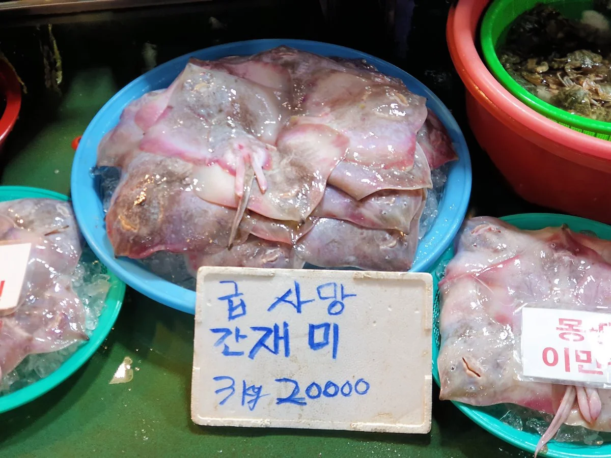 02%EB%8C%80%EB%AA%85%ED%95%AD_%283%29.jpg?type=w1200