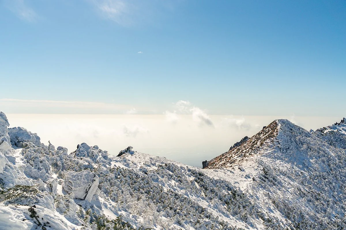 %ED%95%9C%EB%9D%BC%EC%82%B0_%EB%B0%B1%EB%A1%9D%EB%8B%B4_00002.jpg?type=w1200