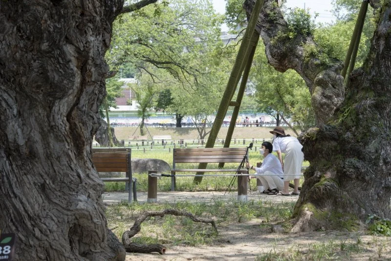 %EC%84%B1%EB%B0%96%EC%88%B2_%284%29.jpg?type=w1200