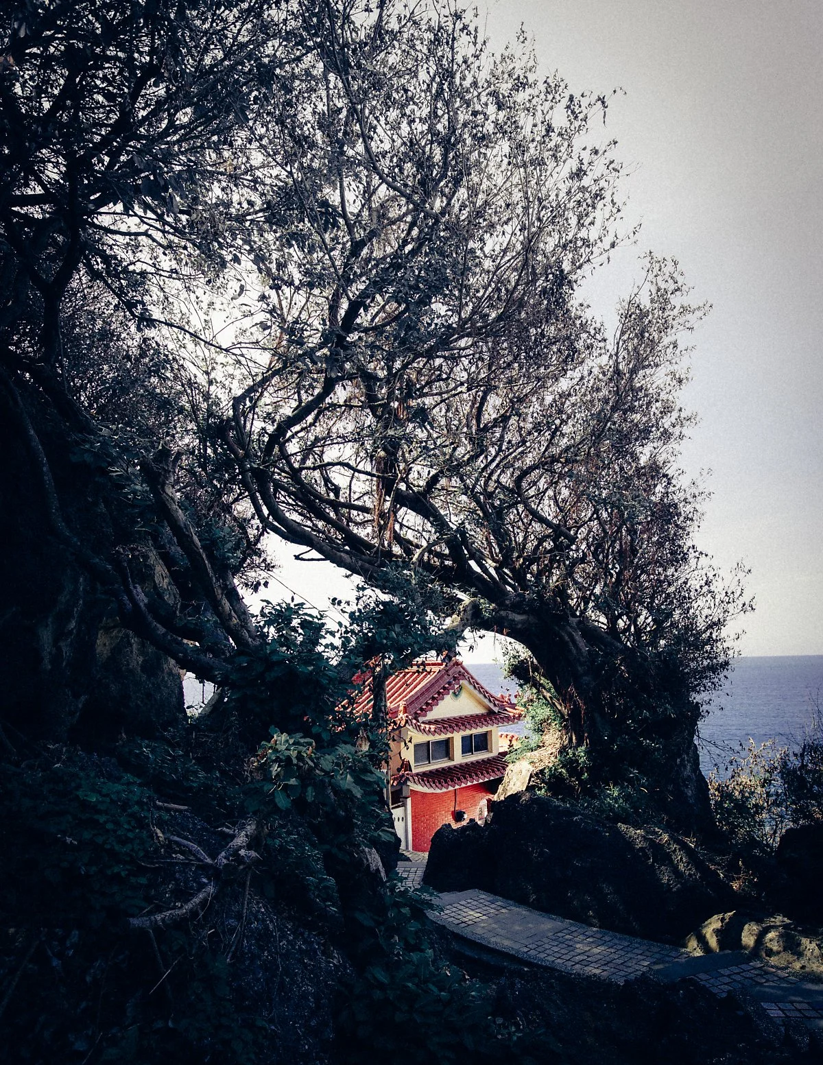 KHS_6073.jpg?type=w1200